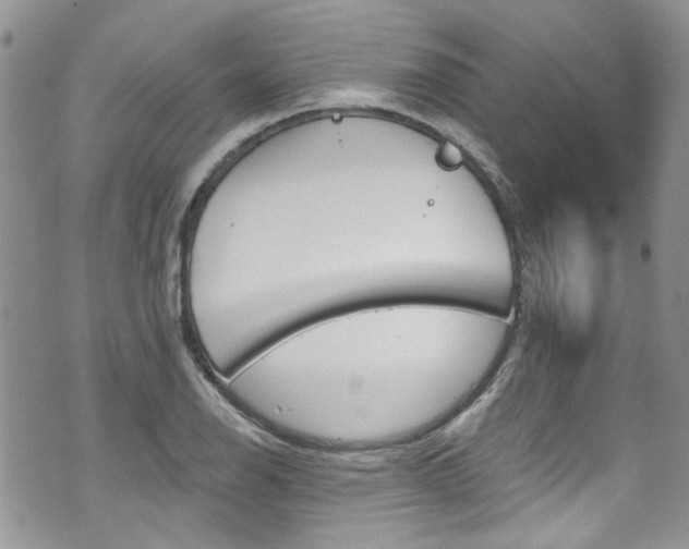 X0000070881126200606191308