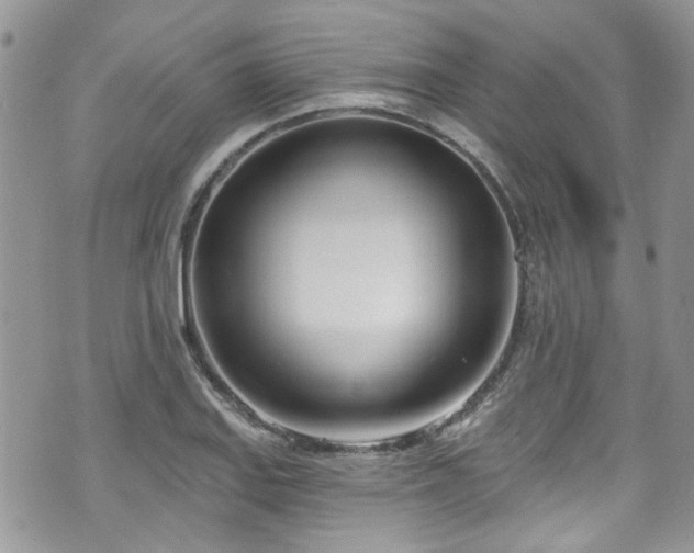 X0000070881127200606191308