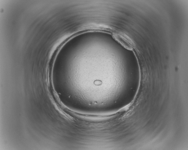 X0000070881128200606191308