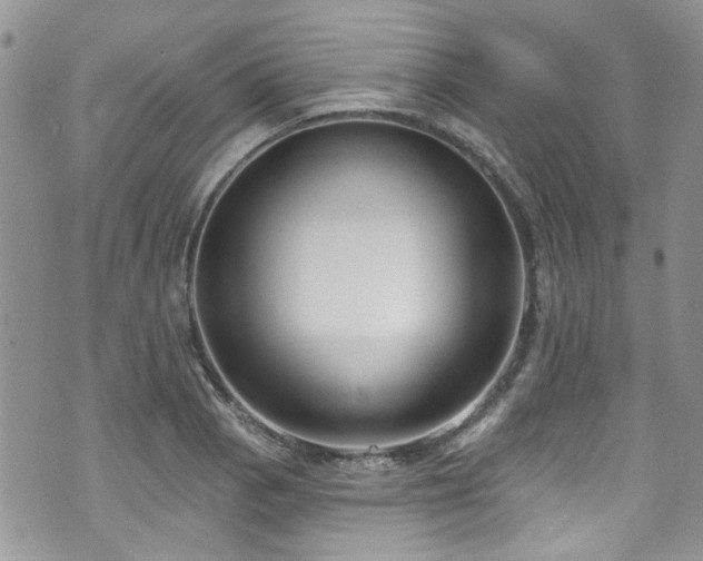 X0000070881129200606191308