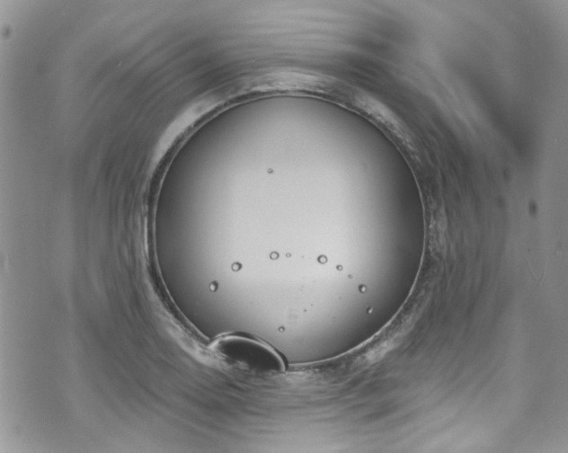 X0000070881130200606191308