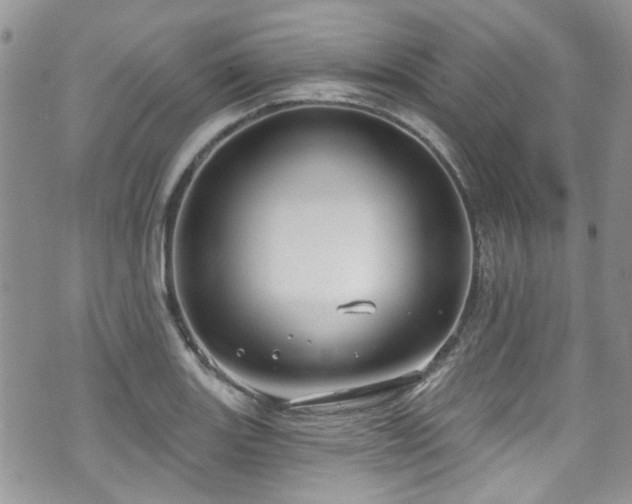 X0000070881131200606191308