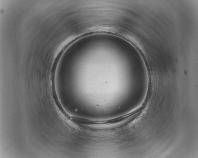 X0000070881133200606191308