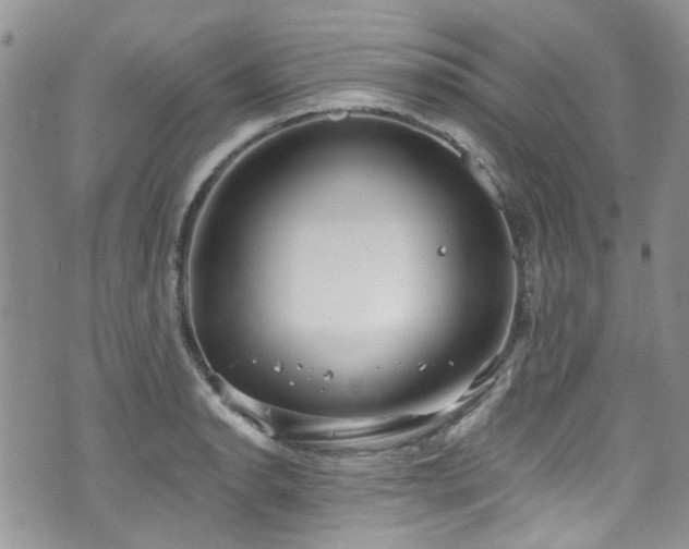 X0000070881134200606191308