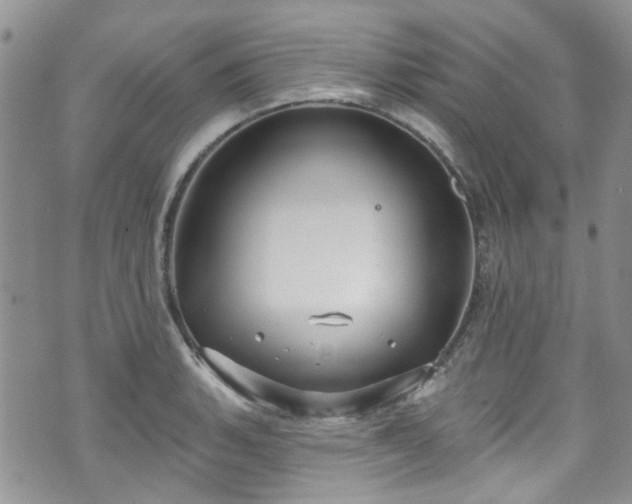 X0000070881135200606191308