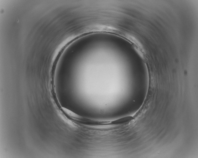 X0000070881136200606191308