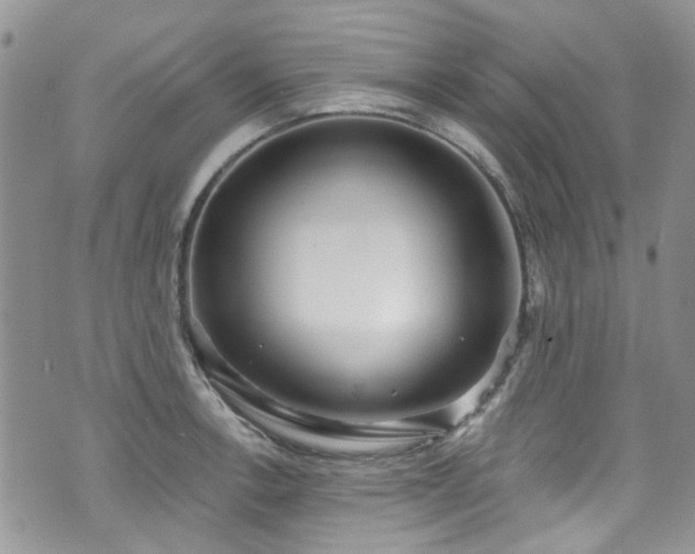 X0000070881138200606191308