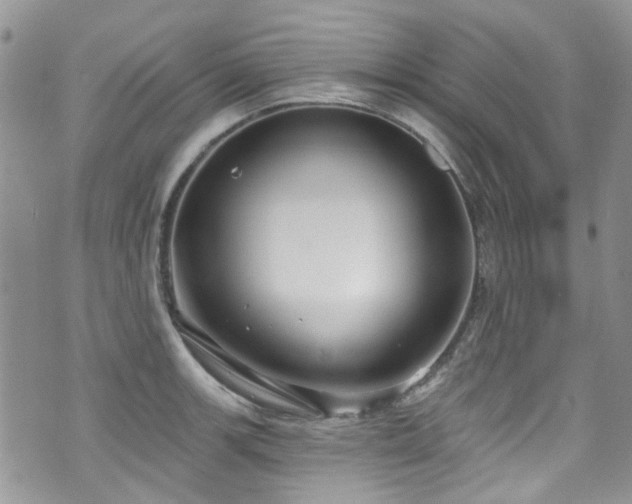 X0000070881139200606191308