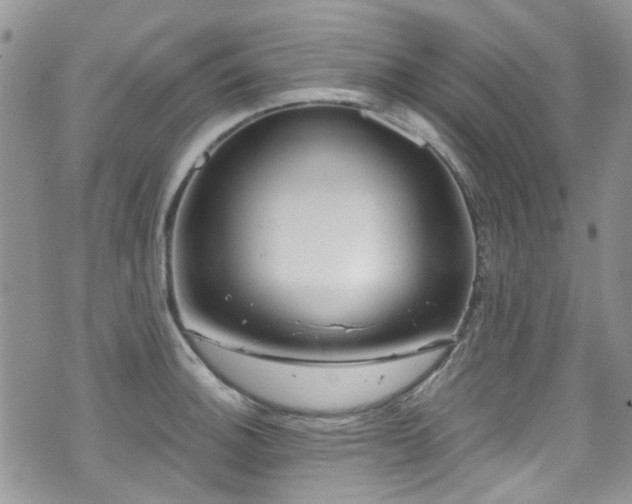 X0000070881140200606191308