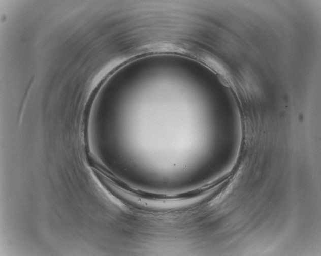 X0000070881141200606191308