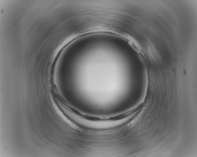 X0000070881142200606191308