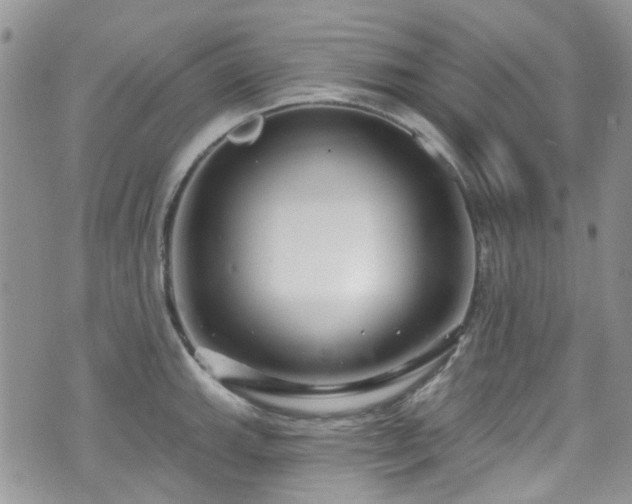 X0000070881143200606191308