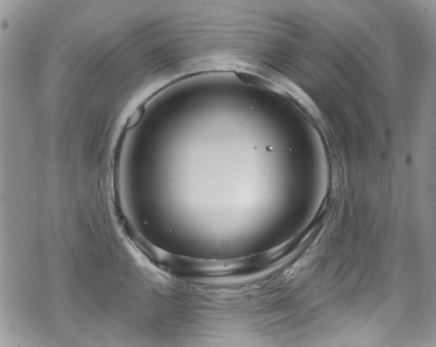 X0000070881144200606191309