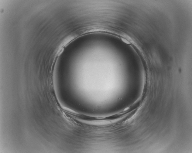 X0000070881145200606191309