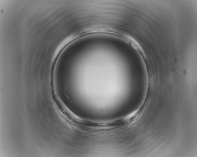 X0000070881146200606191309