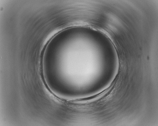 X0000070881147200606191309