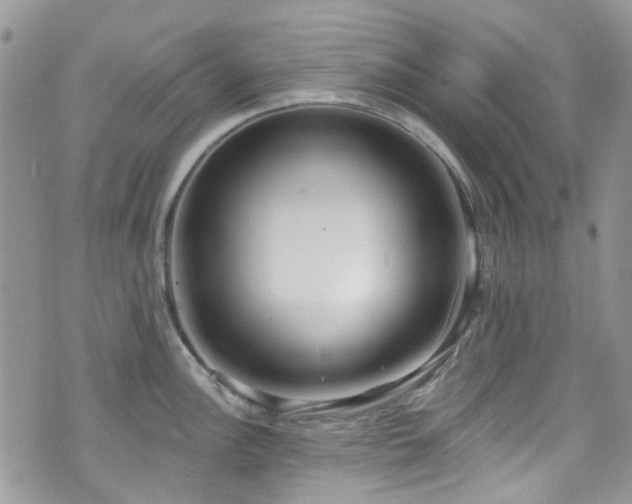 X0000070881148200606191309