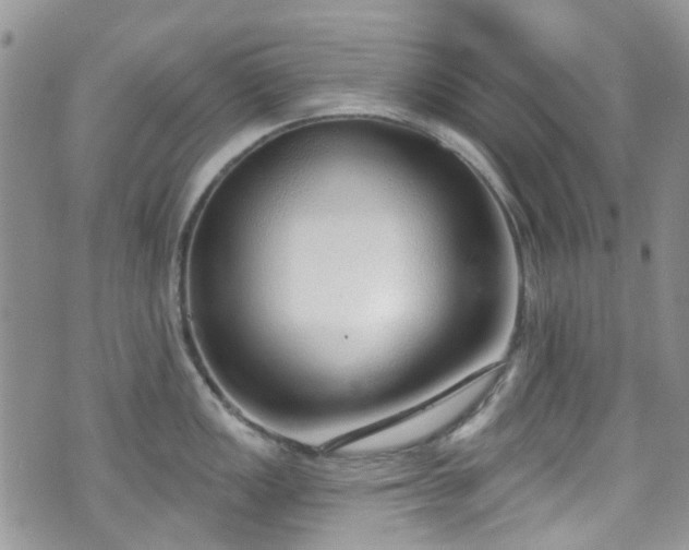 X0000070881149200606191309