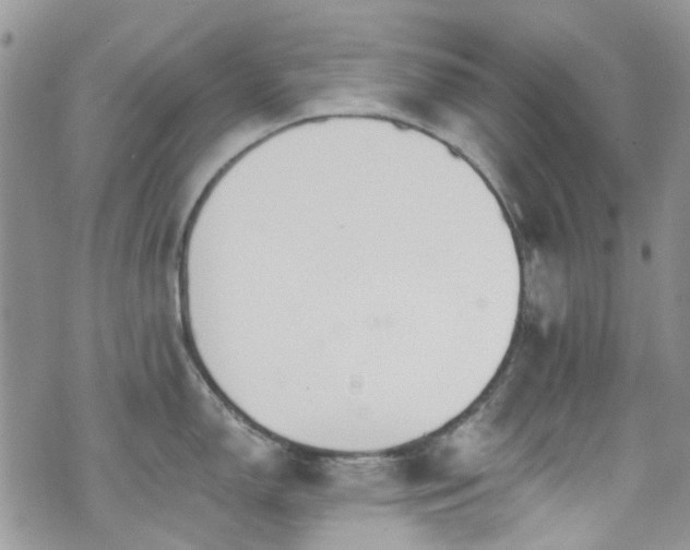 X0000070881150200606191309