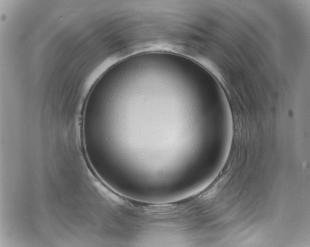 X0000070881151200606191309