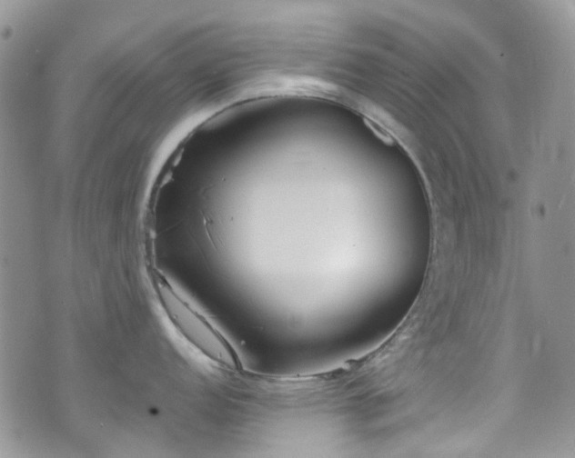 X0000070881152200606191309