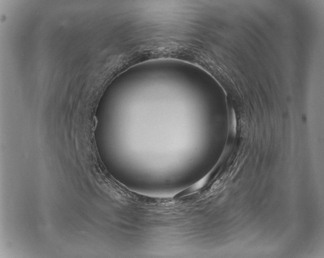 X0000070881153200606191308