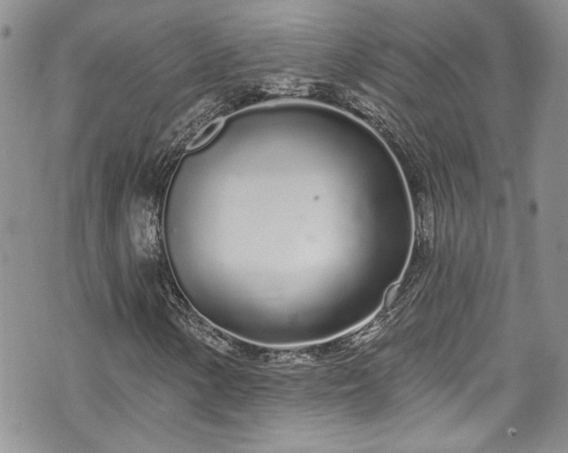 X0000070881154200606191308