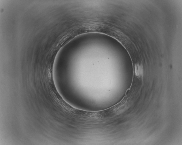 X0000070881155200606191308