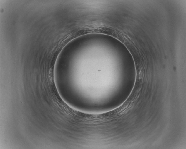 X0000070881156200606191308