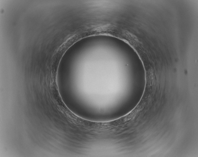 X0000070881158200606191308