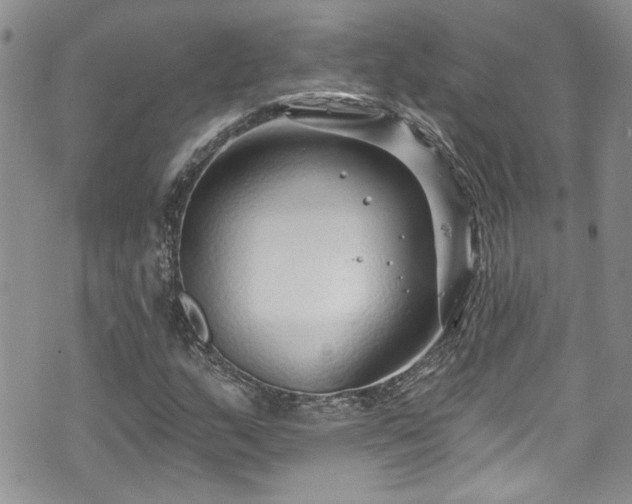 X0000070881159200606191308