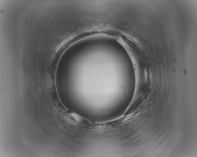 X0000070881160200606191308