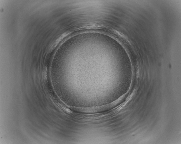 X0000070881161200606191308