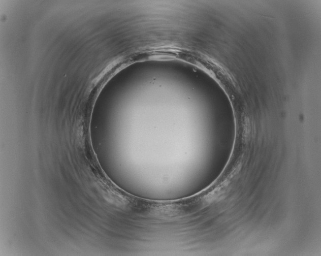 X0000070881162200606191308