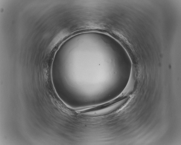 X0000070881163200606191308