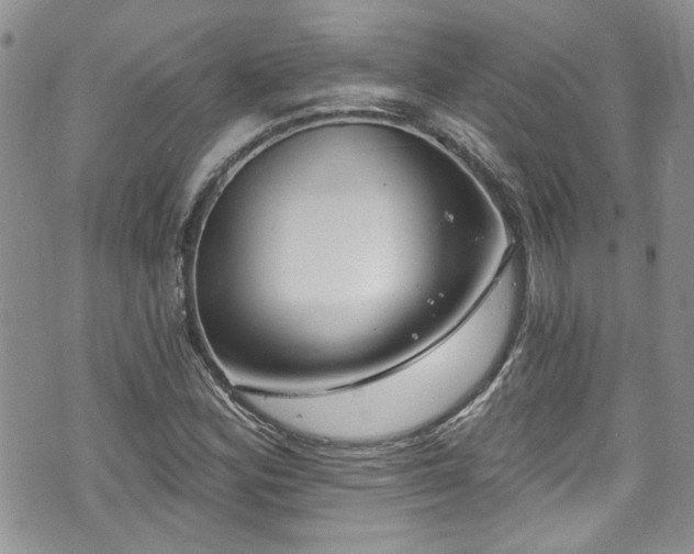 X0000070881164200606191308