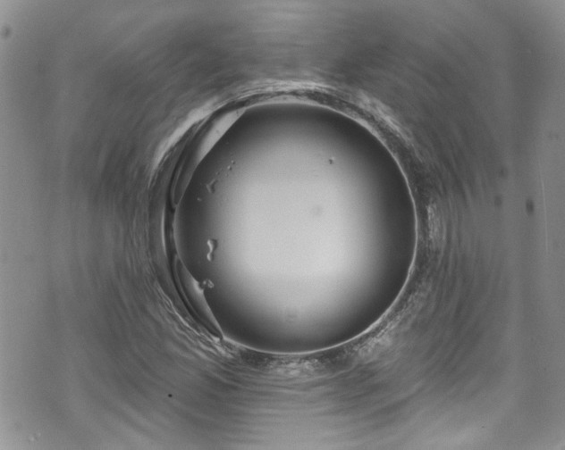 X0000070881165200606191308