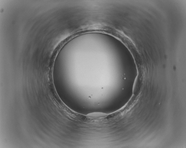 X0000070881166200606191308