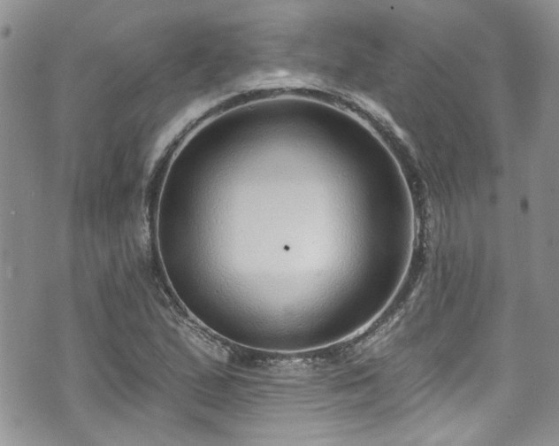 X0000070881167200606191308