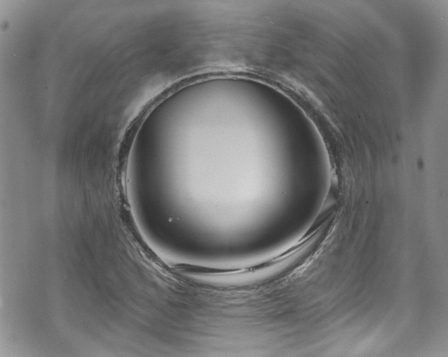 X0000070881168200606191308