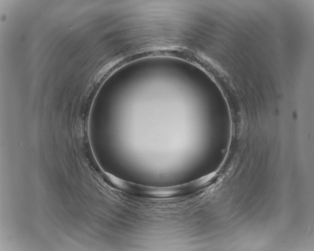 X0000070881169200606191308