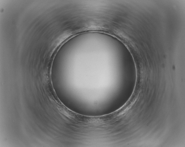 X0000070881170200606191308