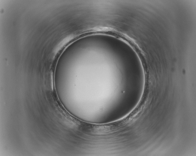 X0000070881171200606191308