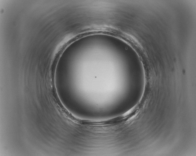 X0000070881172200606191308