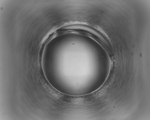 X0000070881173200606191308