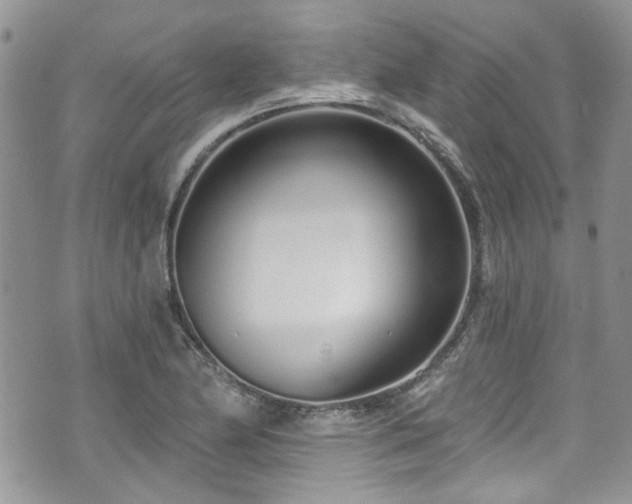 X0000070881174200606191308