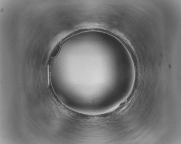 X0000070881175200606191308