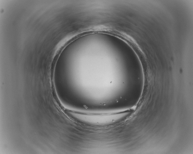 X0000070881176200606191307