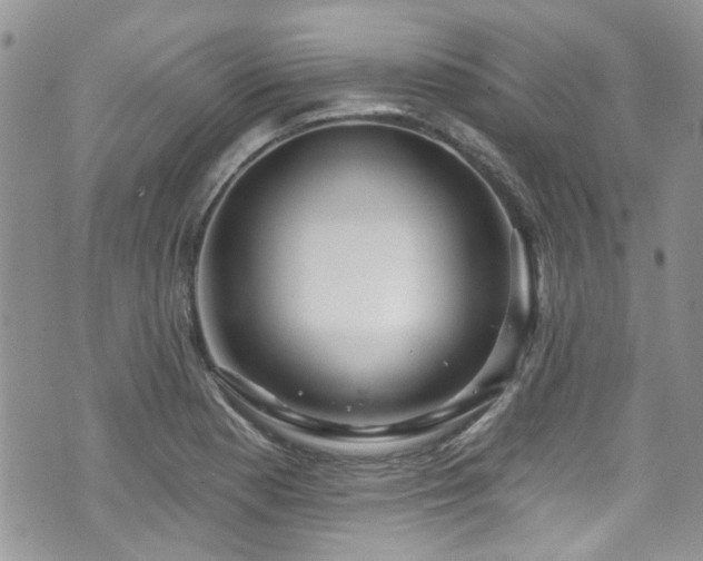 X0000070881177200606191307