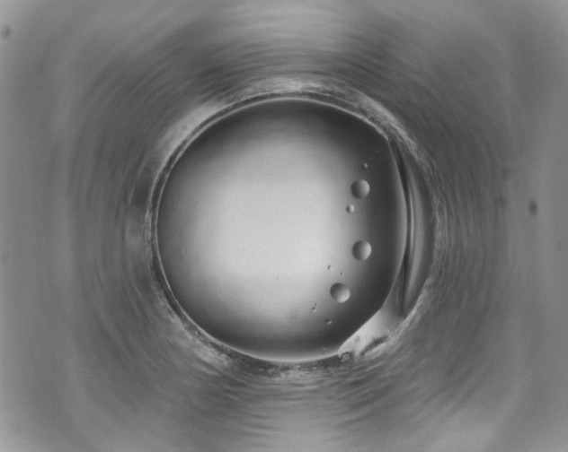 X0000070881178200606191307